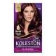 Tint Koleston Borgonha 46